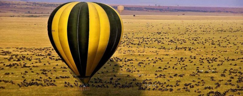 3 Days Samburu Flying Safari Package - Final Thoughts: Who Is This Safari For?