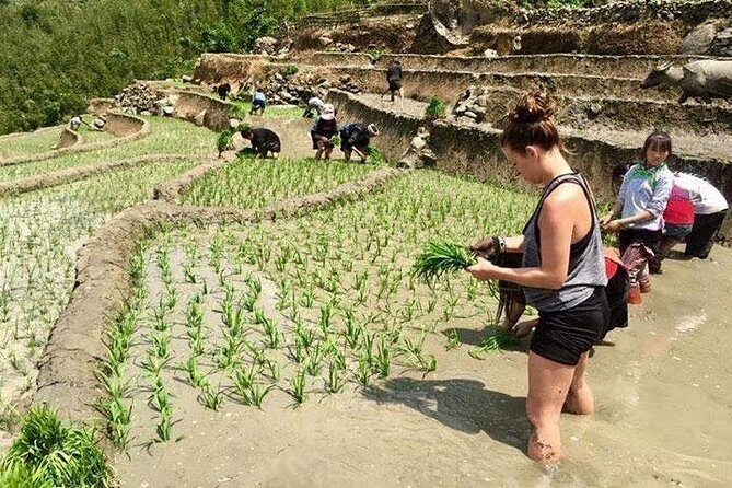 3 Days SAPA Real Experience at Local People House - The Sum Up: Is It Worth It?