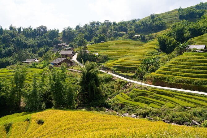 3-Days Sapa Trekking With Local Guide Overnight in Tavan Village - Key Points