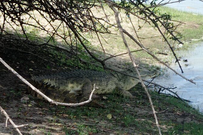 3 Days Selous (Nyerere National Park) - Final Words