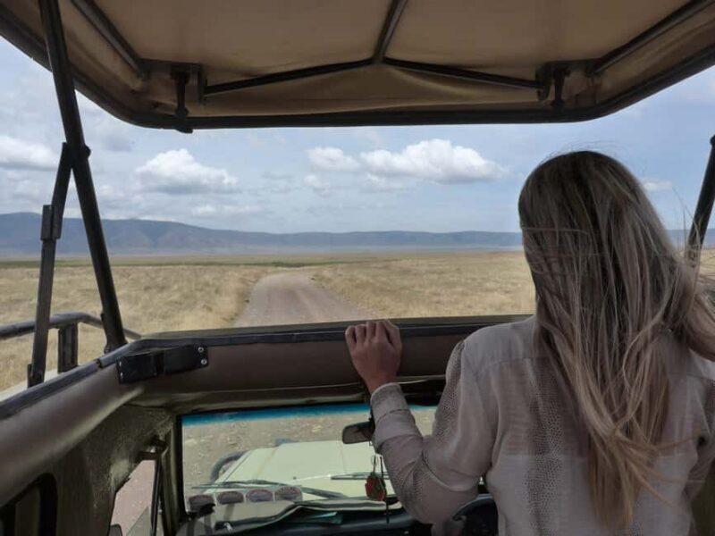 3-Days Serengeti National Park from Zanzibar with Flights - Final Thoughts: Is This Safari for You?