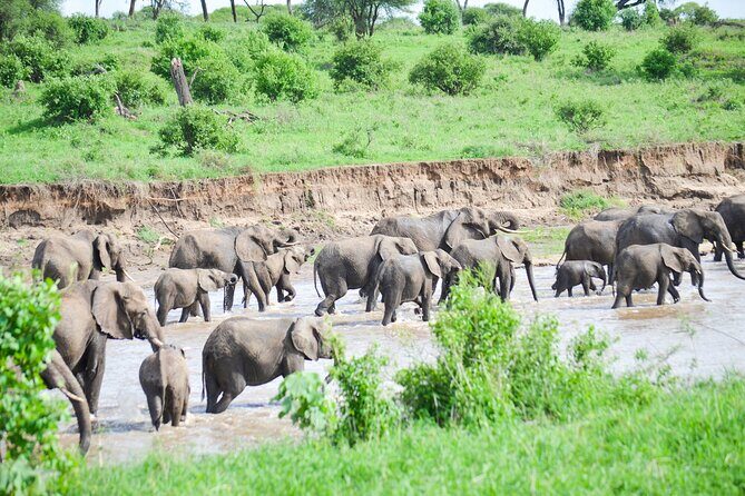 3 Days Serengeti & Ngorongoro Crater group safari - Considerations