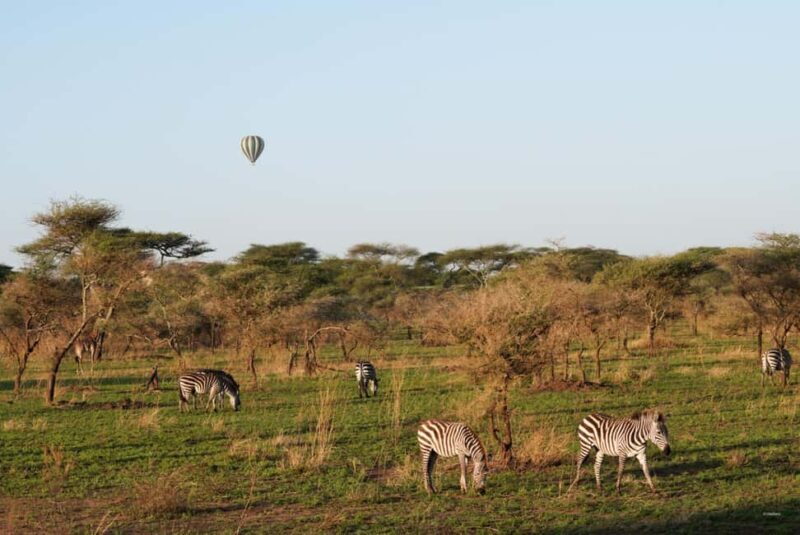 3 Days Serengeti & Ngorongoro Group Camping Safari - Practical Details and Tips