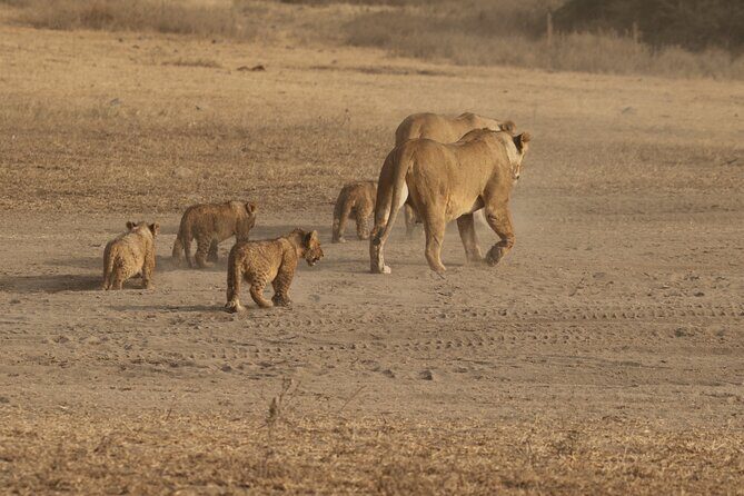 3 Days Serengeti & Ngorongoro Group Camping Safari - FAQ