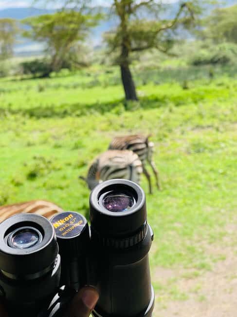 3 Days Serengeti Ngorongoro Group Joining Safari - Key Points