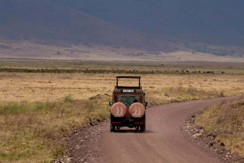 3 Days Serengeti & Ngorongoro Group Mid-range Safari - Exploring the Itinerary