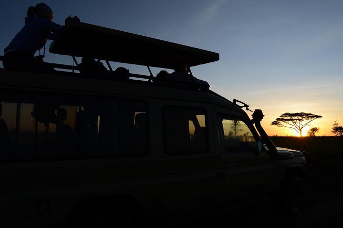3 Days Serengeti & Ngorongoro Lodge Safari - The Itinerary in Detail: What to Expect