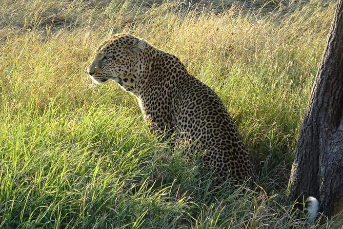 3 Days Serengeti & Ngorongoro Tour - Final Thoughts
