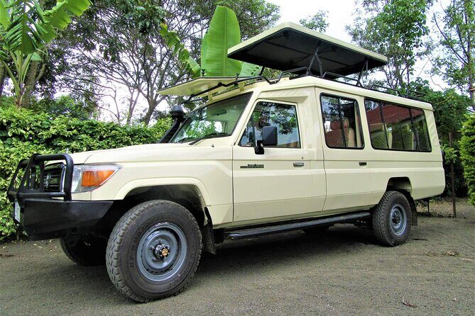 3 Days Serengeti Park & Ngorongoro Crater Adventure Safari - Authentic Encounters and Review Highlights