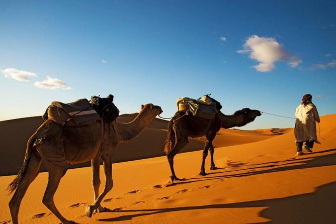 3-days shared Merzouga desert tour from Marrakech - Authentic Experiences and Surprising Details