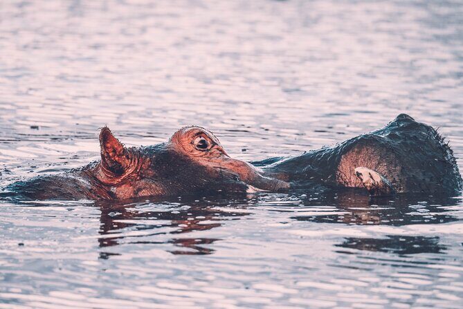 3 Days Shared Safari Tour Tanzania - Day 1: Tarangire National Park — First Impressions