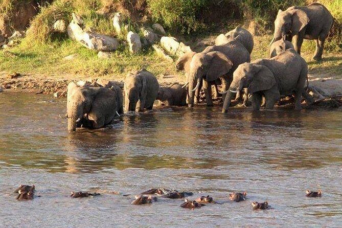 3-Days Tanzania Safari Tours - An In-Depth Look at the Safari Experience