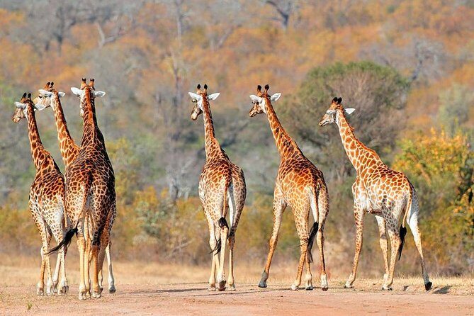 3-Days Tanzania Safari Tours - Who Will Love This Safari?