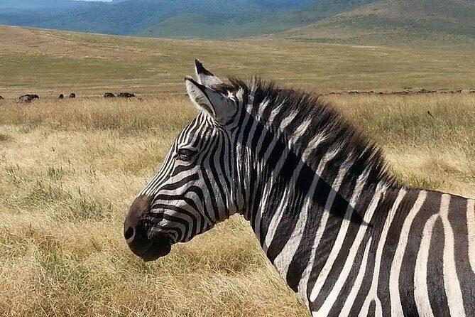 3 Days Tarangire , Ngorongoro Crater & Manyara From Zanzibar - Practical Considerations