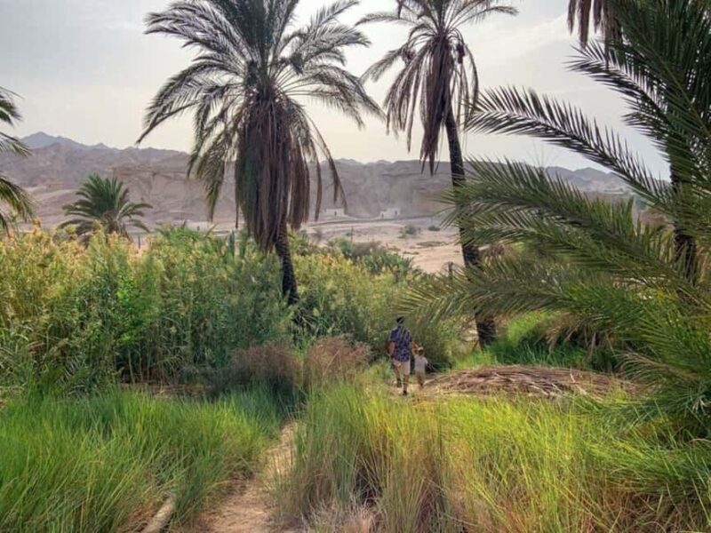 3 Days Tour :Set out on a Journey from Tabuk to the Red Sea - Day 3: The Mountain of Moses and the Altar Sites