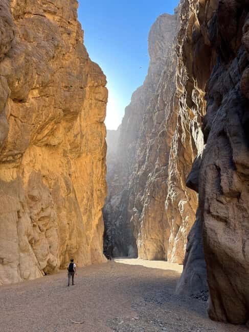 3 Days Tour :Set out on a Journey from Tabuk to the Red Sea - Why This Tour Stands Out