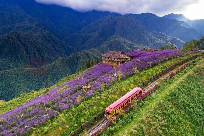 3 Days Tour & Fansipan Mountain Hotel & Bungalow from Hanoi - The Value of This Tour