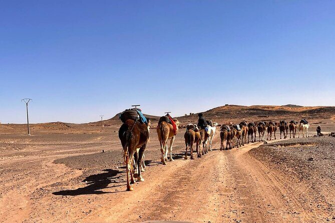 3 Days Tour From Errachidia To Merzouga With Safari & Camel Trekk - The Sum Up: Who Should Consider This Tour?