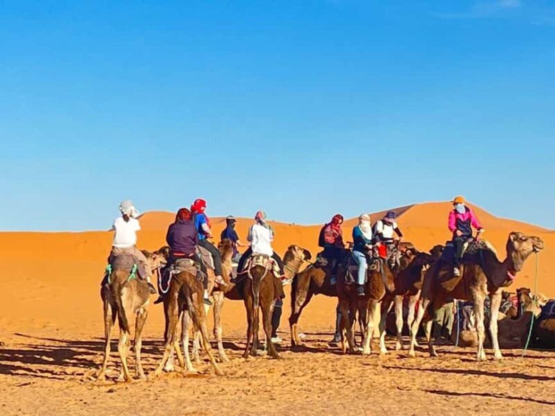 3 Days tour from Fes to Marrakech via Merzouga - Transportation & Group Dynamics