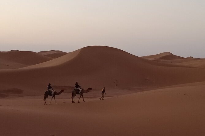 3 Days Tour From Marrakech To Erg Chigaga Desert Morocco - Who Should Consider This Tour?