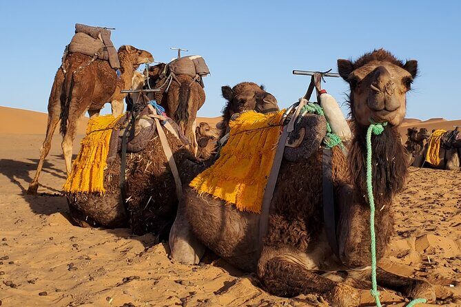 3 Days Tour from Marrakech to Merzouga Dunes and Camel Trek - An Overview of the Adventure