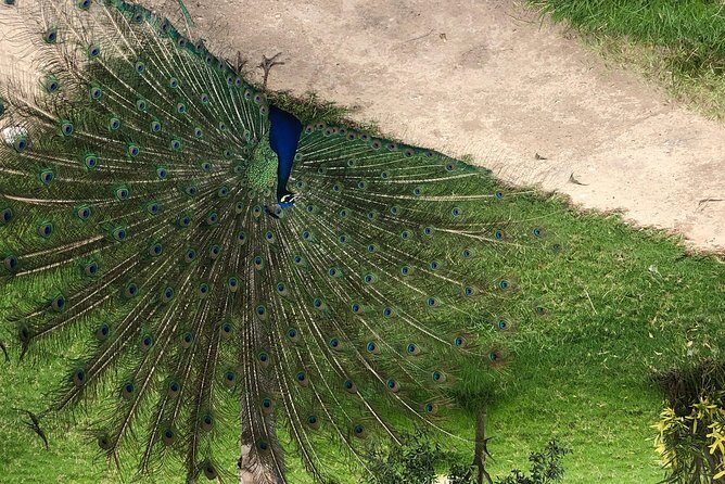 3 Days tour from Tangier to Fes & Chefchaouen - Final Thoughts