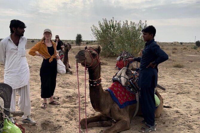 3 Days Tour in Wild Desert Safari - A Close Look at the Itinerary and What You’ll Experience