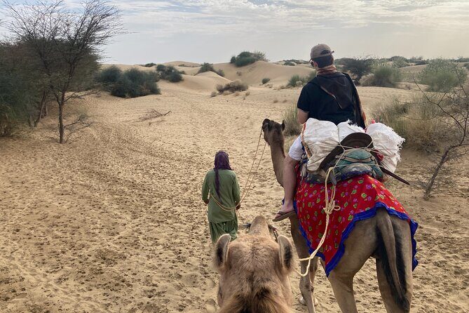 3 Days Tour in Wild Desert Safari - Who Is This Tour Best For?