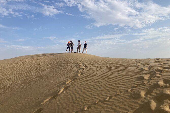 3 Days Tour in Wild Desert Safari - The Sum Up