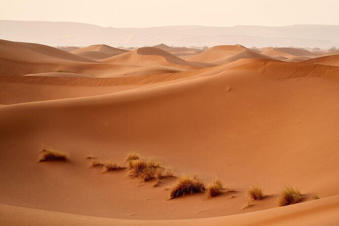 3 Days Tour Marrakech to Merzouga - Who Will Love This Tour?