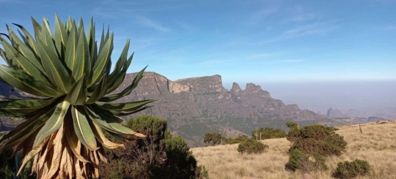 3 Days Trekking & Wildlife Spotting in the Simien Mountains - Key Points