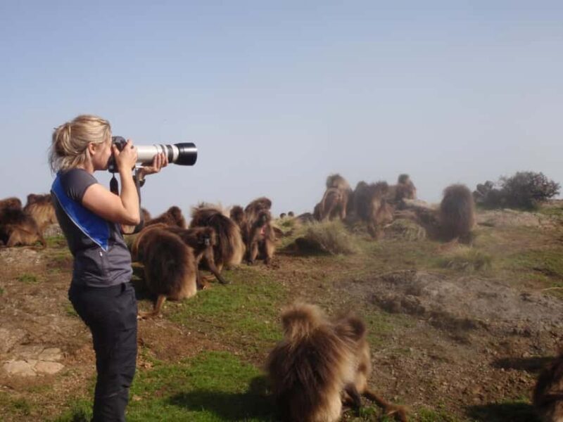 3 Days Trekking & Wildlife Spotting in the Simien Mountains - The Value of This Experience