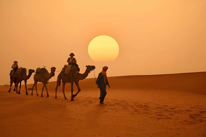 3 Days Trip Merzouga Desert (Privet or Shared room option) - Key Points