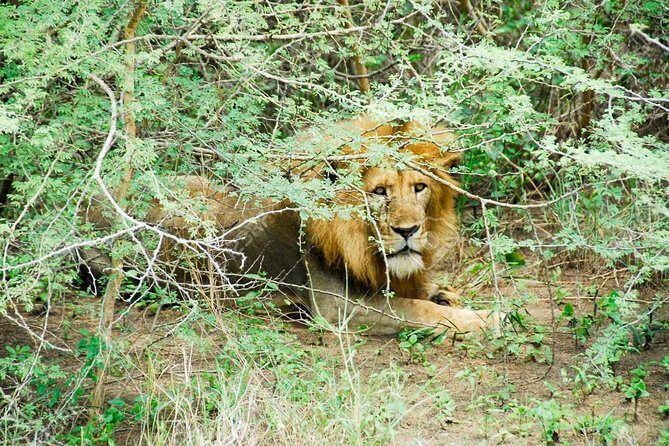3 Days Trip To Murchison Falls - Day-by-Day Breakdown