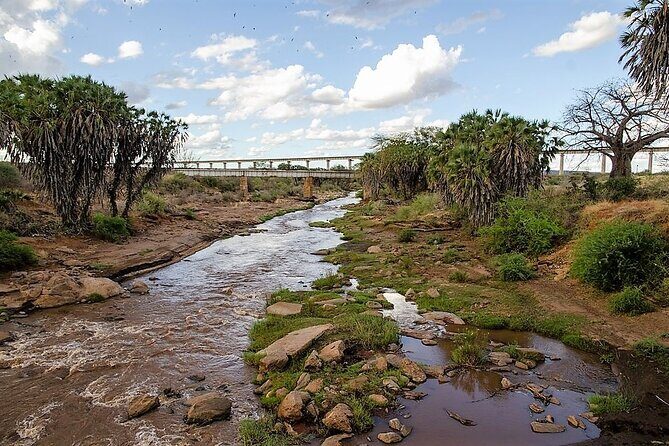 3 Days Tsavo East & Amboseli (2 Nights) - Who Is This Tour Best For?