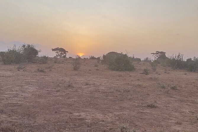 3 Days Tsavo East + Taita hills/Saltlick lodge from Malindi - Authentic Moments and Insider Tips