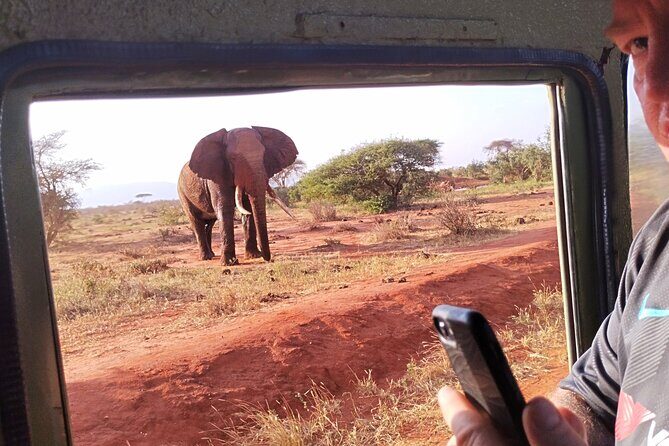 3 Days Tsavo East + Taita hills/Saltlick lodge from Malindi - Who This Tour Is Perfect For