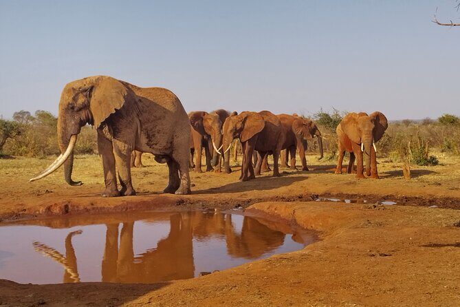 3 Days Tsavo East + Taita hills/Saltlick lodge from Malindi - FAQ