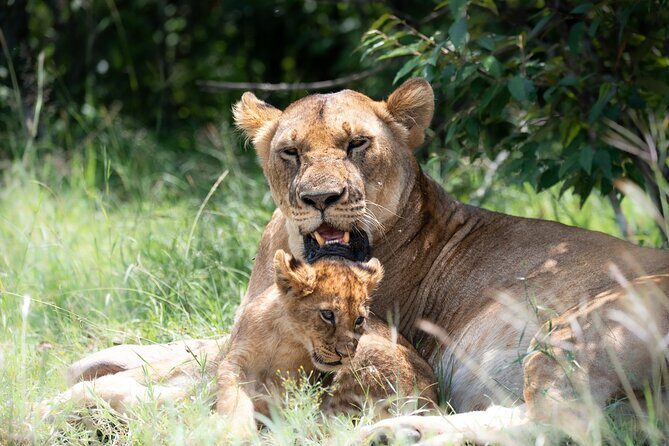 3 Days Tsavo East & Tsavo West Safari - Day 1: Tsavo East — The Dawn of Your Safari