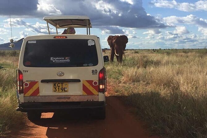 3 Days Tsavo East & West Safari from Diani Beach Mombasa - Key Points