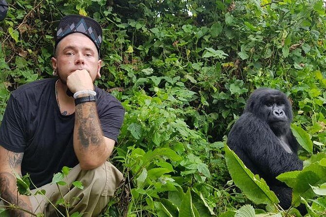 3 Days Uganda Gorilla Trekking Safari - An In-Depth Look at the 3-Day Itinerary
