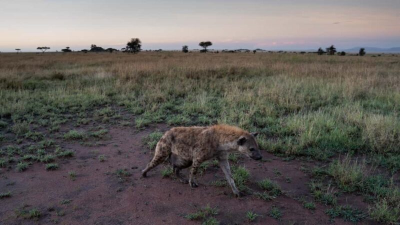 3-Days Unforgettable Luxury Safari to Tanzania - First Impressions: What’s on Offer?