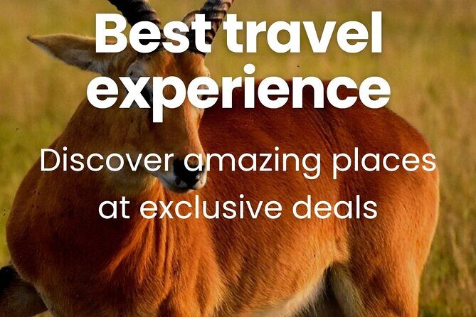 3 Days Unforgettable Masai Mara Safari Tour - FAQ