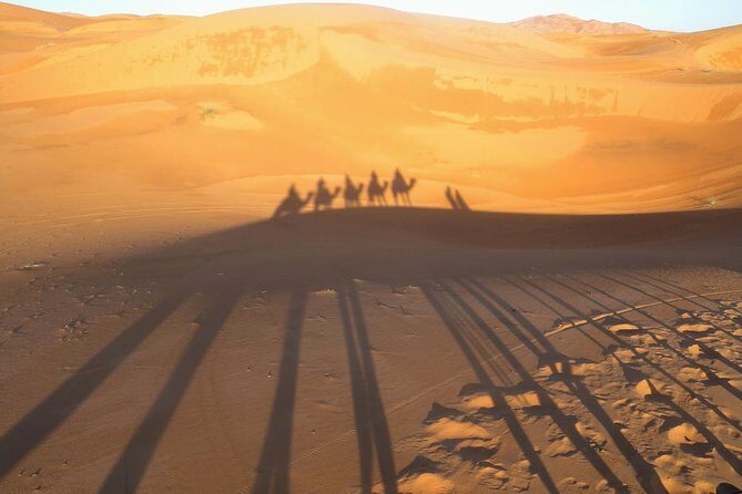 3 Días Circuito Al Desierto Via Fez Desde Marrakech - The Itinerary in Detail