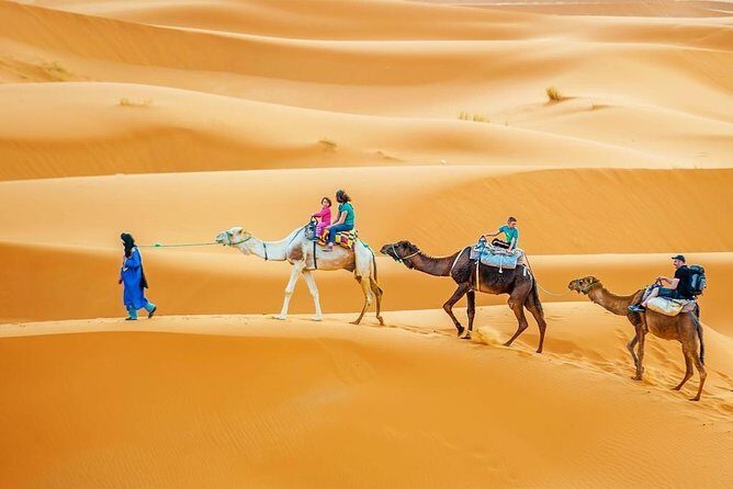 3 Días Circuito Al Desierto Via Fez Desde Marrakech - FAQ