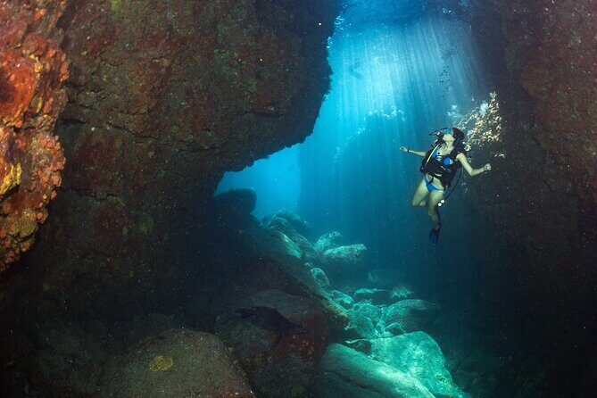 3 Fun Dives in Phi Phi islands for Certified Divers - Who This Tour Is Perfect For