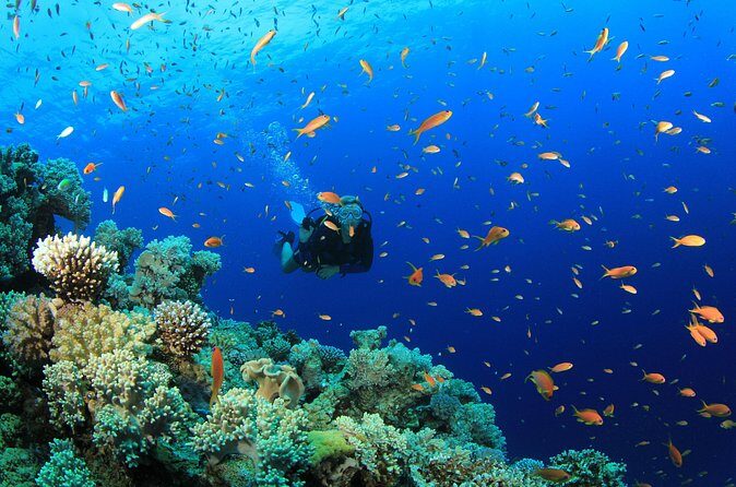 3 Fun Dives in Phi Phi islands for Certified Divers - Final Thoughts