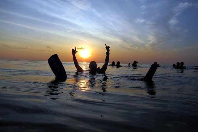 3 Fun dives in Phi Phi islands for Certified Divers - Price and Value