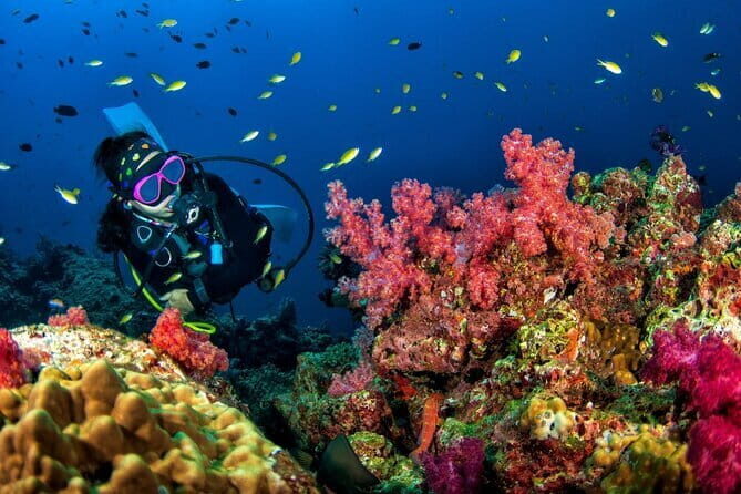 3 Fun Dives in Racha Yai and Racha Noi for Certified Divers - Key Points