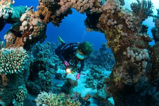 3 Fun Dives in Racha Yai and Racha Noi for Certified Divers - Why Travelers Rave About This Tour